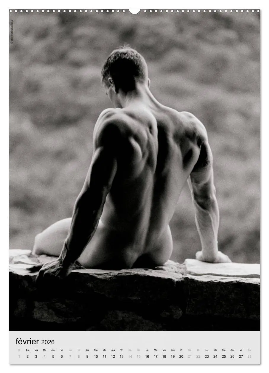 Bild: 9783516573664 | contrastes hommes (Calendrier mural 2026 DIN A2 horizontal),...