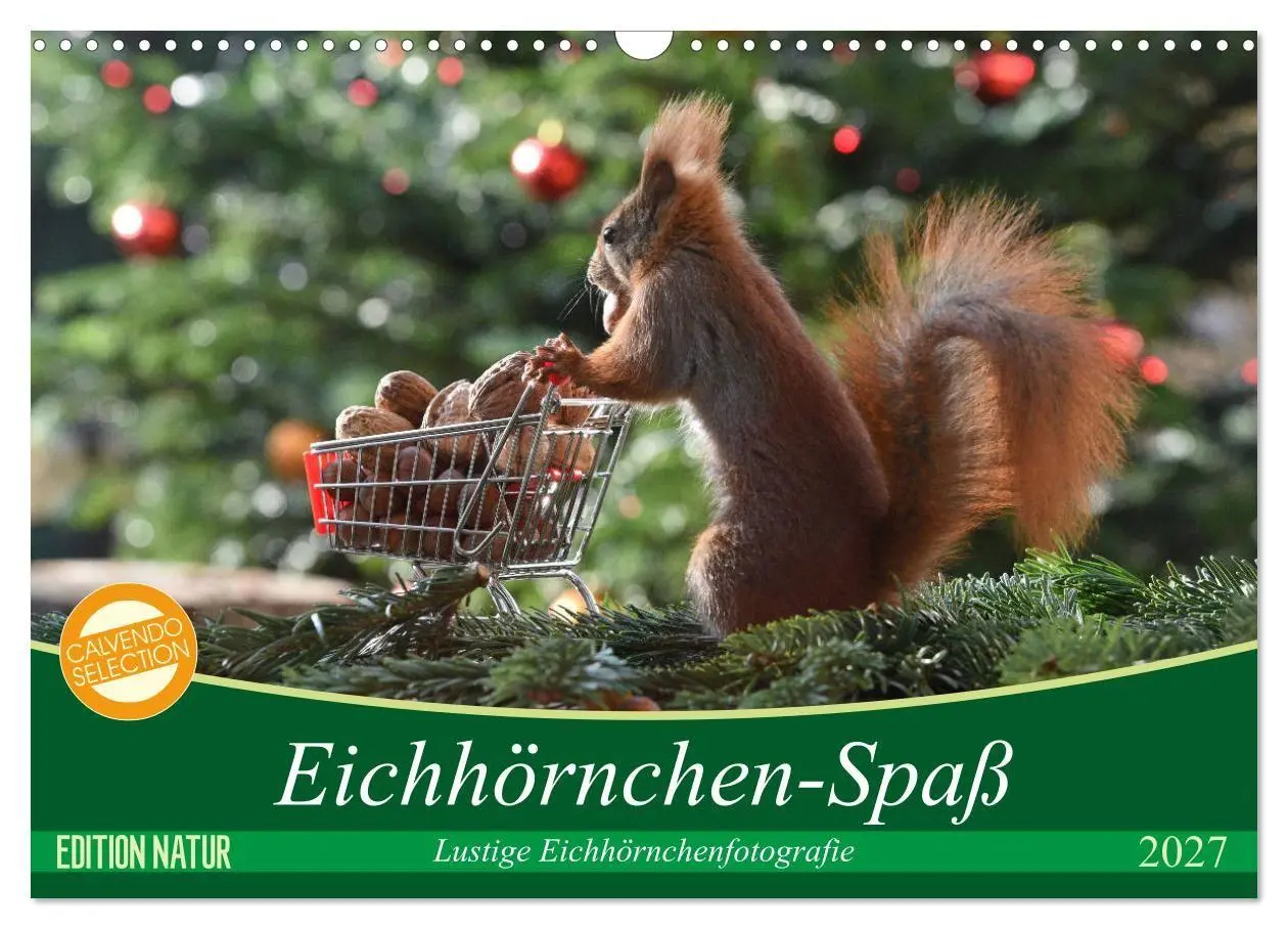Cover: 9783569973664 | Eichhörnchen-Spaß (Wandkalender 2027 DIN A3 quer), CALVENDO...