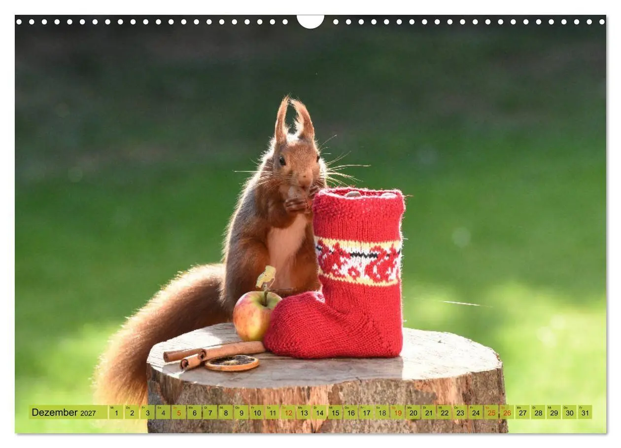 Bild: 9783569973664 | Eichhörnchen-Spaß (Wandkalender 2027 DIN A3 quer), CALVENDO...
