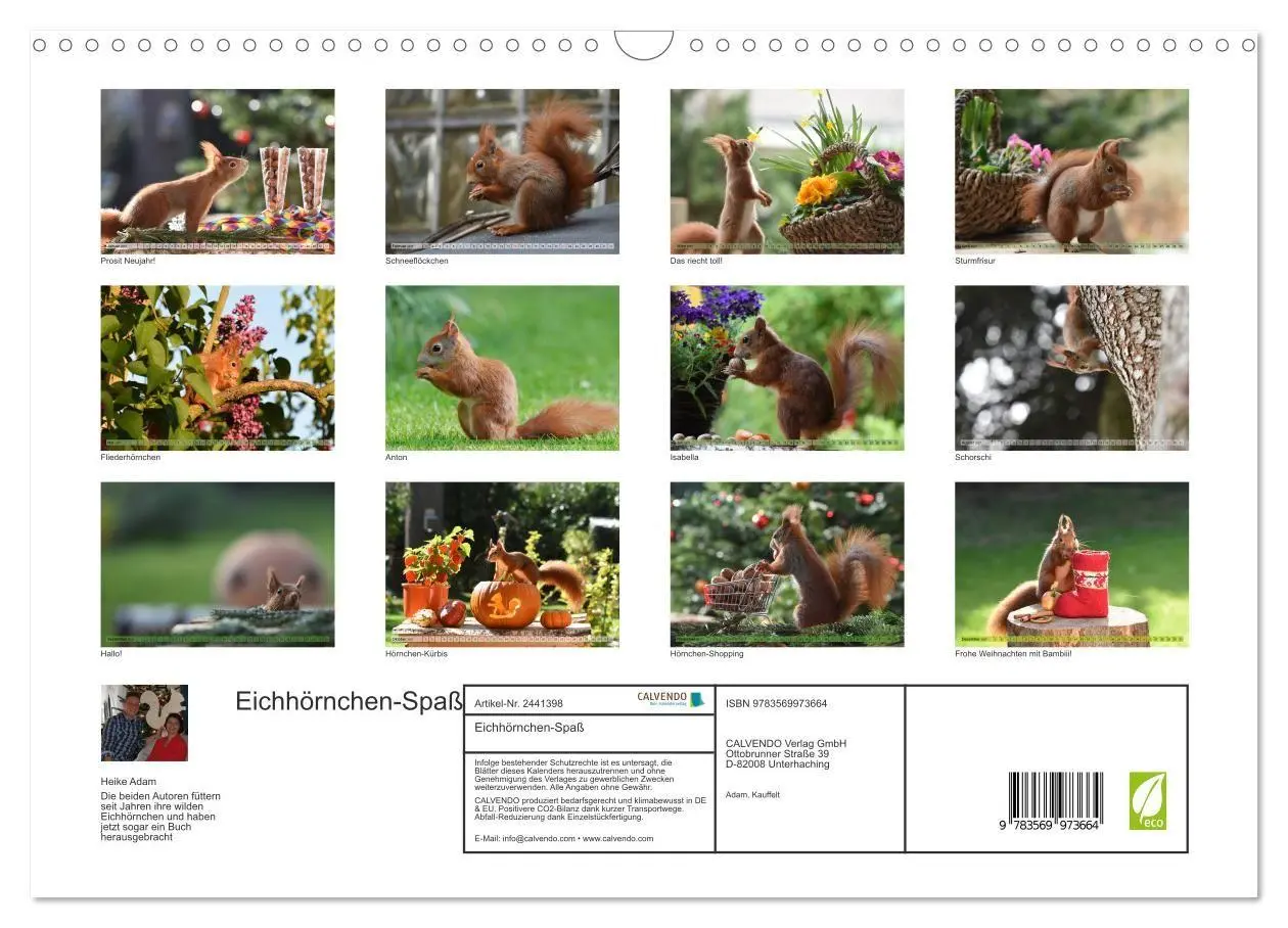 Bild: 9783569973664 | Eichhörnchen-Spaß (Wandkalender 2027 DIN A3 quer), CALVENDO...