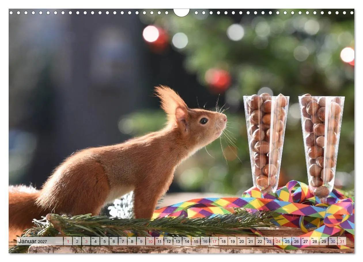 Bild: 9783569973664 | Eichhörnchen-Spaß (Wandkalender 2027 DIN A3 quer), CALVENDO...
