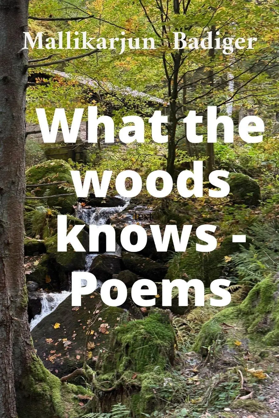 Cover: 9798295813764 | What the woods knows- Poems | Mallikarjun Badiger | Taschenbuch | 2026