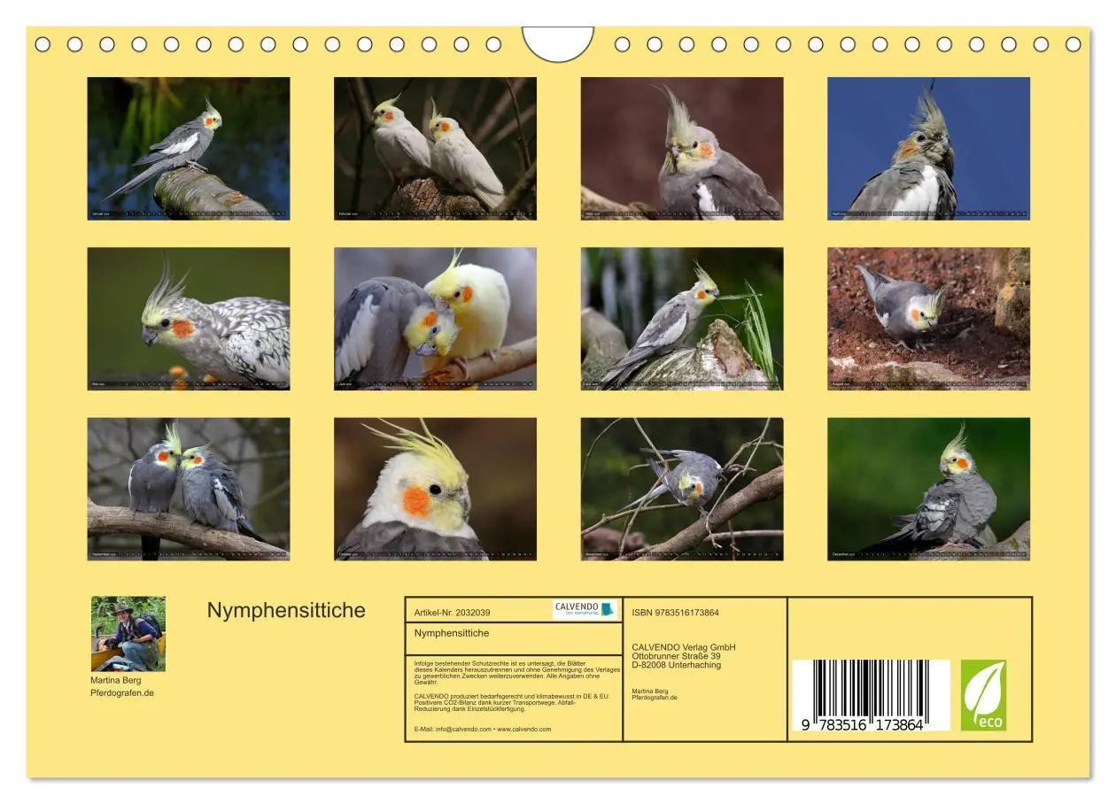 Bild: 9783516173864 | Nymphensittiche (Wandkalender 2026 DIN A4 quer), CALVENDO...