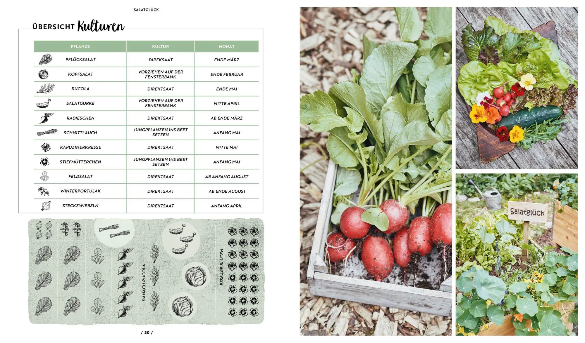Bild: 9783745933864 | Garten, Hochbeet, Ernte-Wunder - Drei Bücher im Bundle | Stadtgärtner