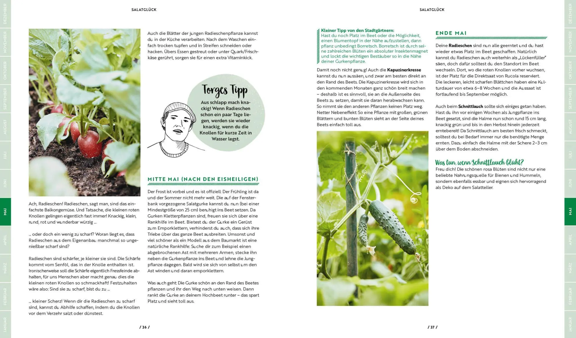 Bild: 9783745933864 | Garten, Hochbeet, Ernte-Wunder - Drei Bücher im Bundle | Stadtgärtner