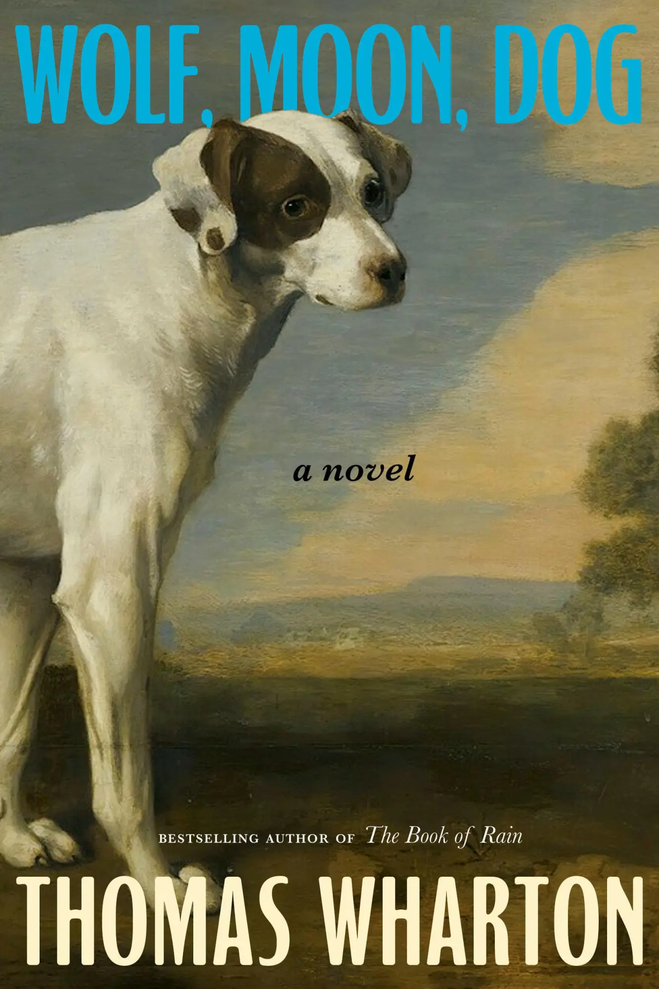 Cover: 9781039013964 | Wolf, Moon, Dog | A novel | Thomas Wharton | Taschenbuch | Englisch