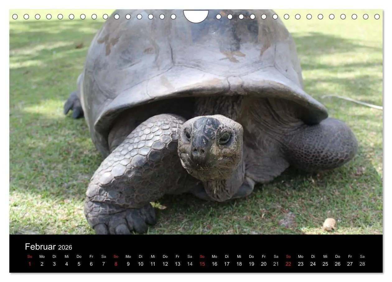 Bild: 9783516163964 | Seychellen (Wandkalender 2026 DIN A4 quer), CALVENDO Monatskalender