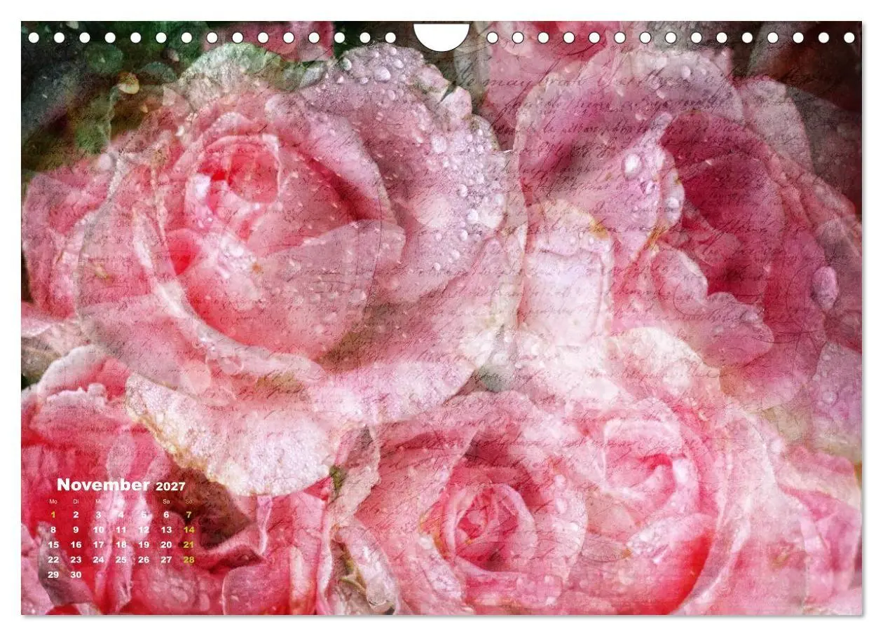 Bild: 9783594073964 | Rosen Romantik (Wandkalender 2027 DIN A4 quer), CALVENDO...