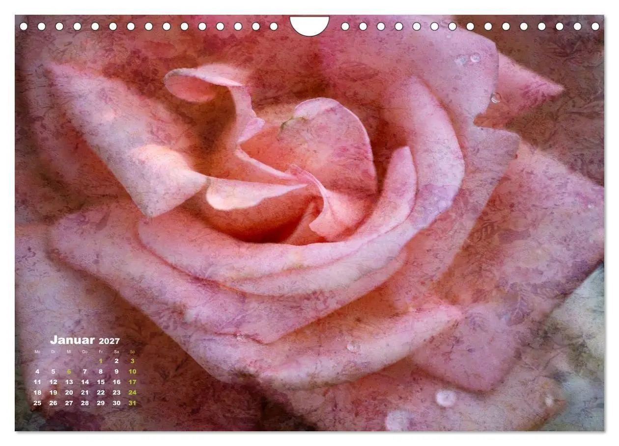 Bild: 9783594073964 | Rosen Romantik (Wandkalender 2027 DIN A4 quer), CALVENDO...