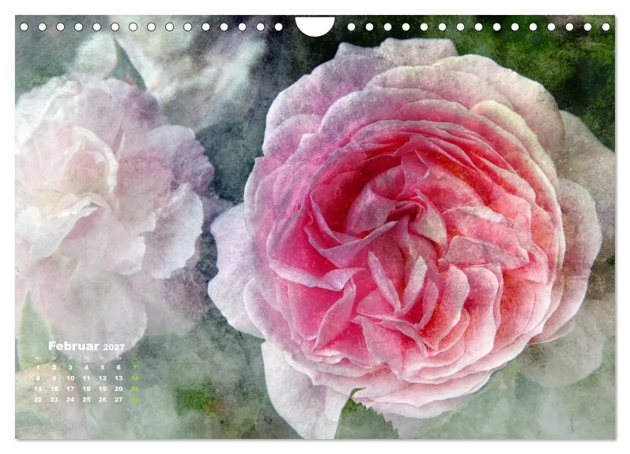Bild: 9783594073964 | Rosen Romantik (Wandkalender 2027 DIN A4 quer), CALVENDO...