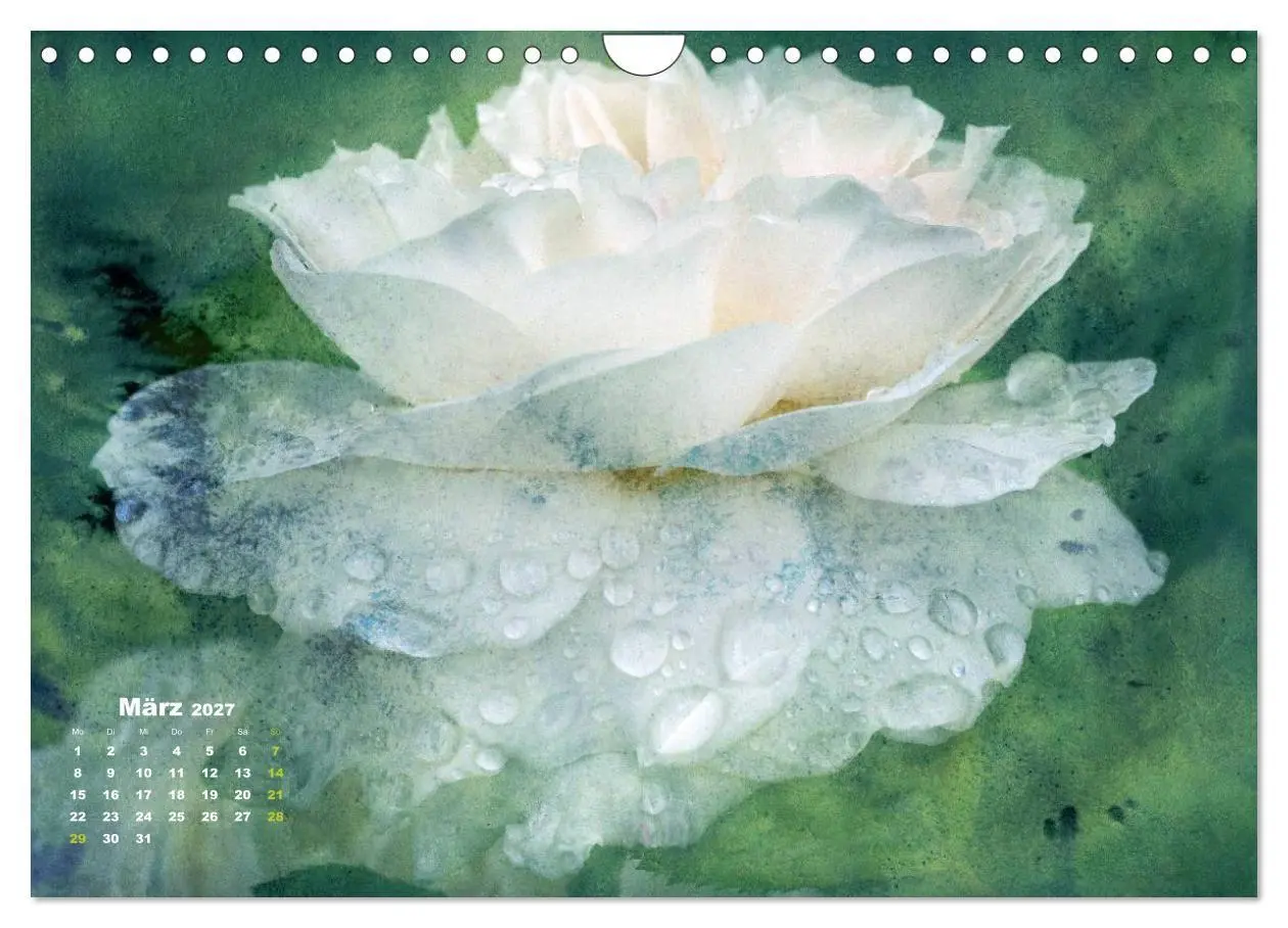 Bild: 9783594073964 | Rosen Romantik (Wandkalender 2027 DIN A4 quer), CALVENDO...