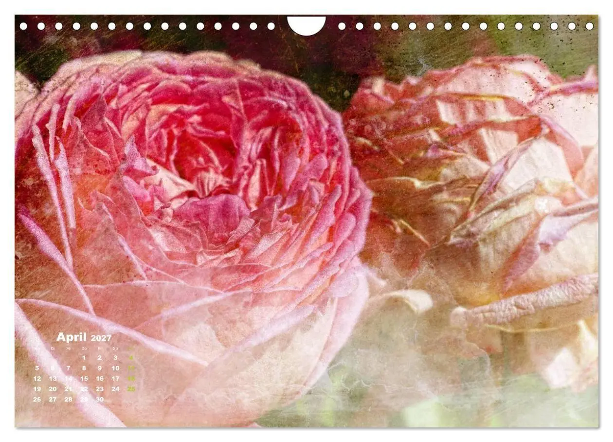 Bild: 9783594073964 | Rosen Romantik (Wandkalender 2027 DIN A4 quer), CALVENDO...