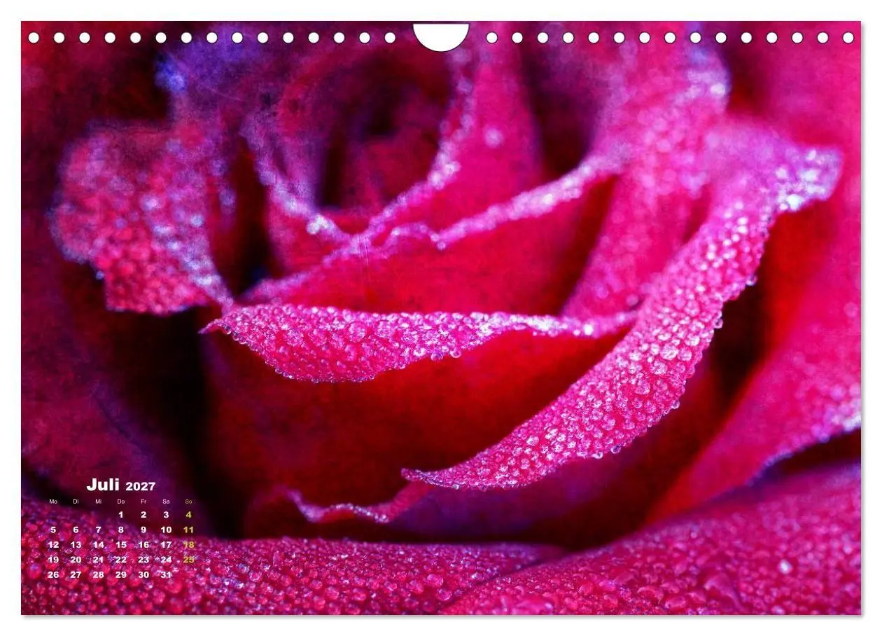 Bild: 9783594073964 | Rosen Romantik (Wandkalender 2027 DIN A4 quer), CALVENDO...