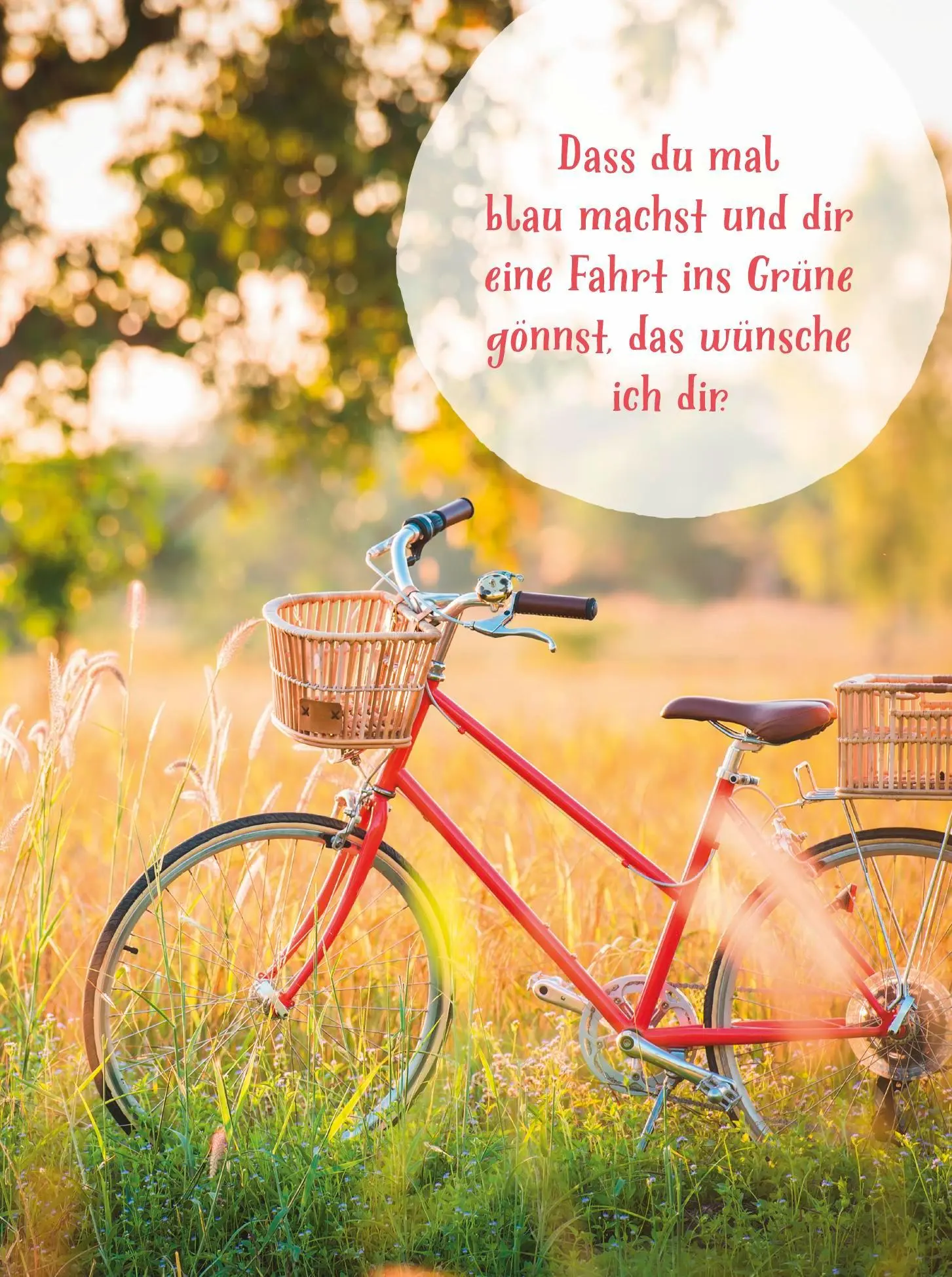 Bild: 9783848503964 | Gute-Laune-Wünsche für dich | Groh Verlag | Taschenbuch | 48 S. | 2025