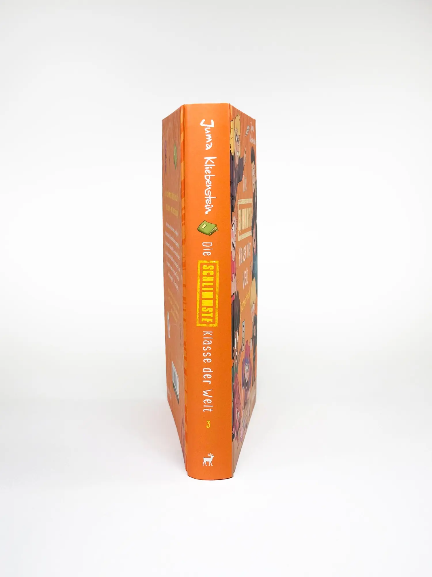 Bild: 9783961293964 | Die schlimmste Klasse der Welt (Band 3) - Jetzt erst recht! | Buch