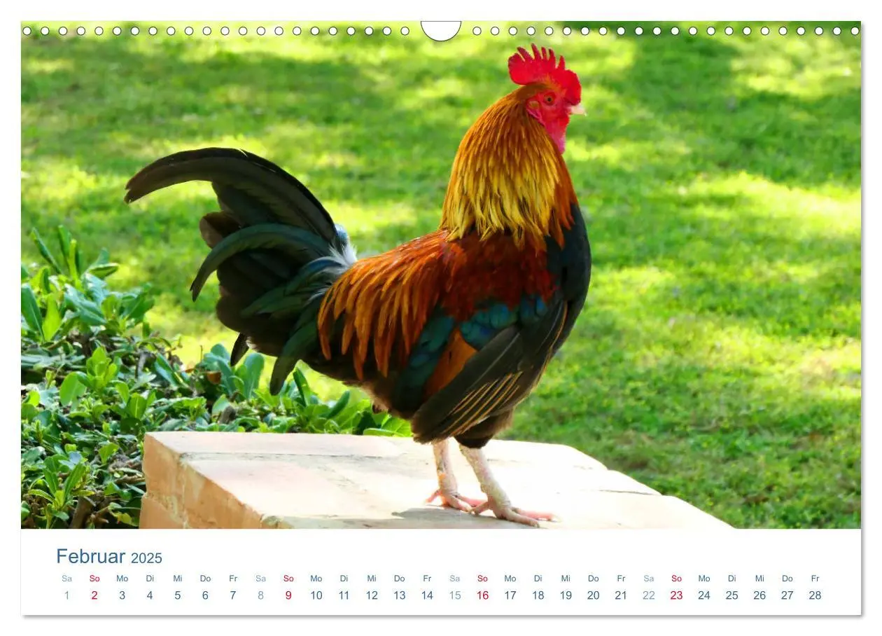Bild: 9783435494064 | Tierisches Leben auf dem Bauernhof 2025 (Wandkalender 2025 DIN A3...