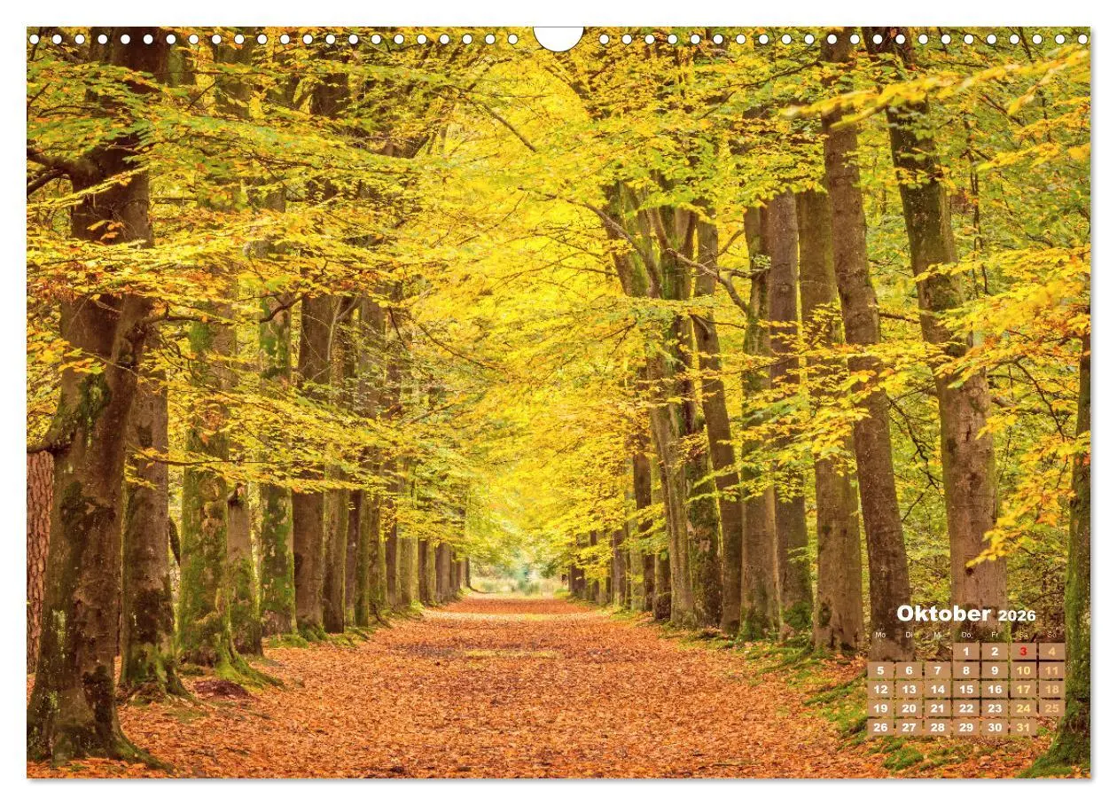 Bild: 9783457274064 | Alleen: Der Weg ist das Ziel (Wandkalender 2026 DIN A3 quer),...