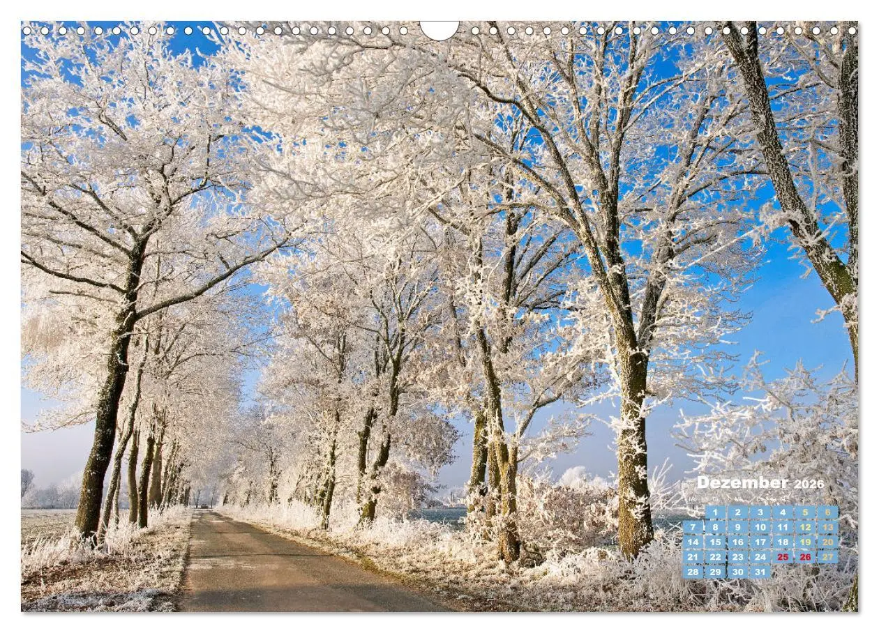 Bild: 9783457274064 | Alleen: Der Weg ist das Ziel (Wandkalender 2026 DIN A3 quer),...