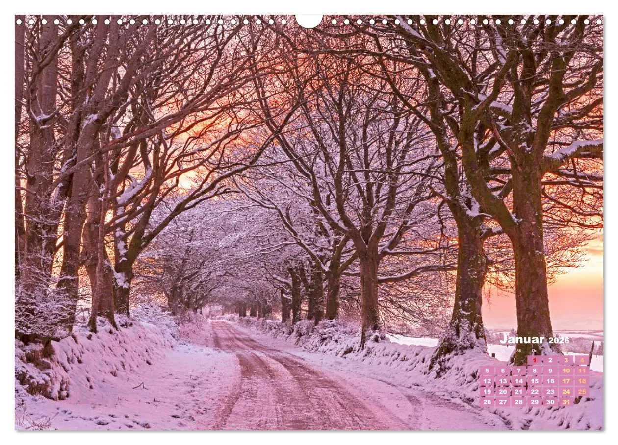 Bild: 9783457274064 | Alleen: Der Weg ist das Ziel (Wandkalender 2026 DIN A3 quer),...