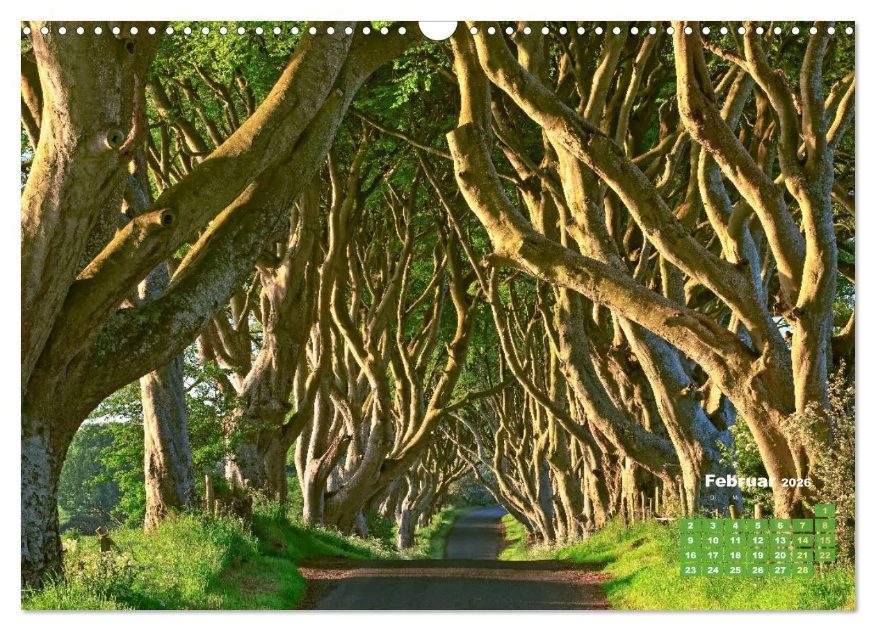 Bild: 9783457274064 | Alleen: Der Weg ist das Ziel (Wandkalender 2026 DIN A3 quer),...