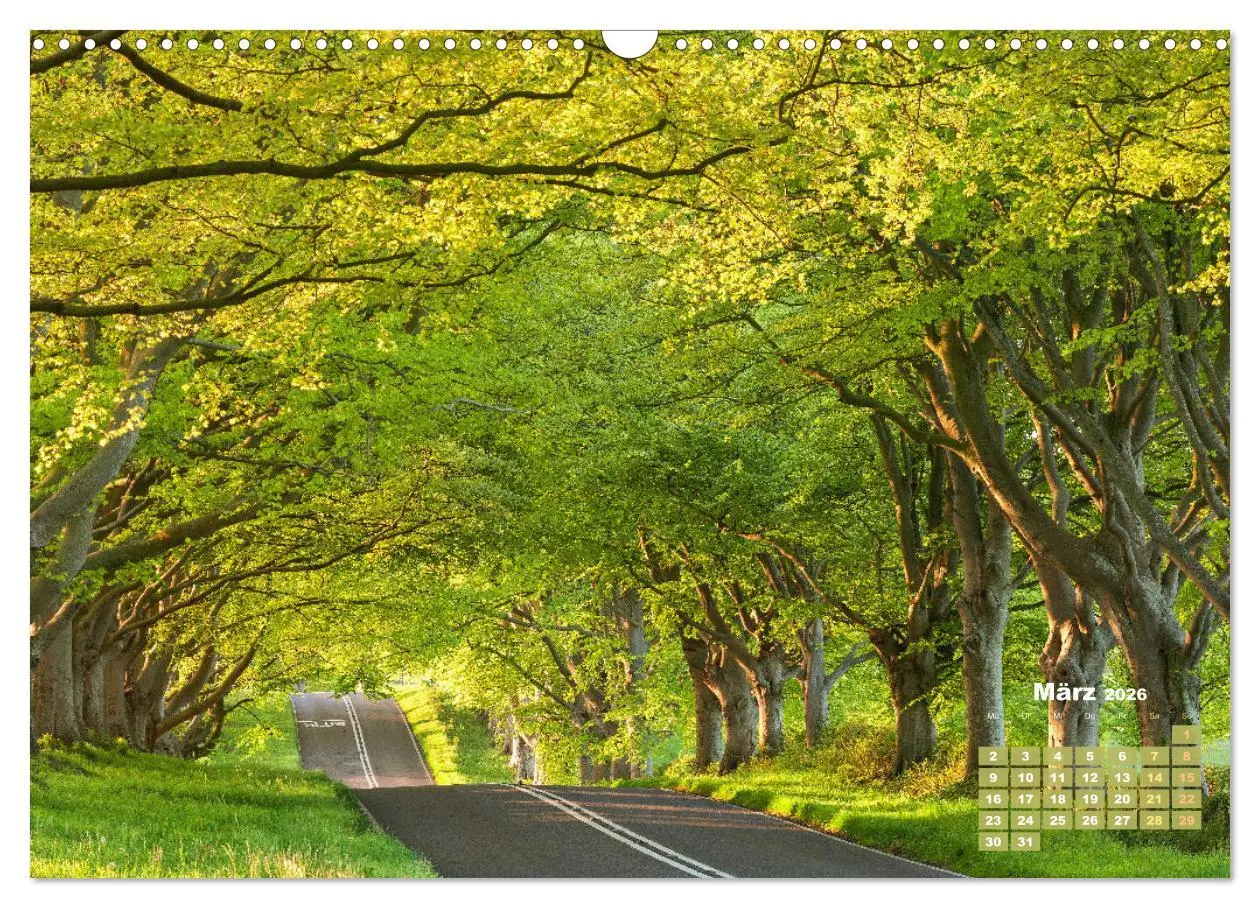 Bild: 9783457274064 | Alleen: Der Weg ist das Ziel (Wandkalender 2026 DIN A3 quer),...