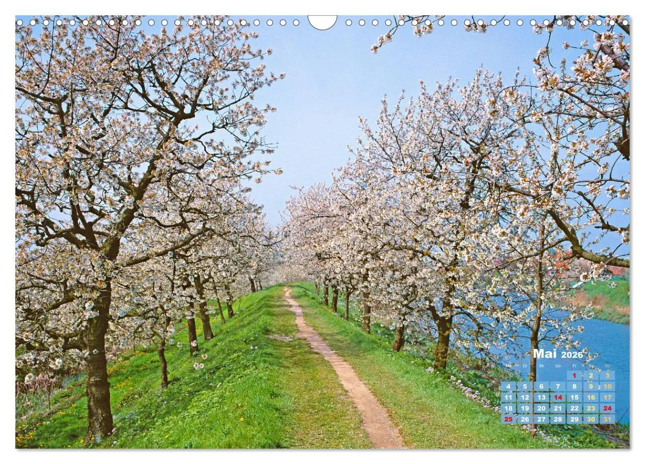 Bild: 9783457274064 | Alleen: Der Weg ist das Ziel (Wandkalender 2026 DIN A3 quer),...