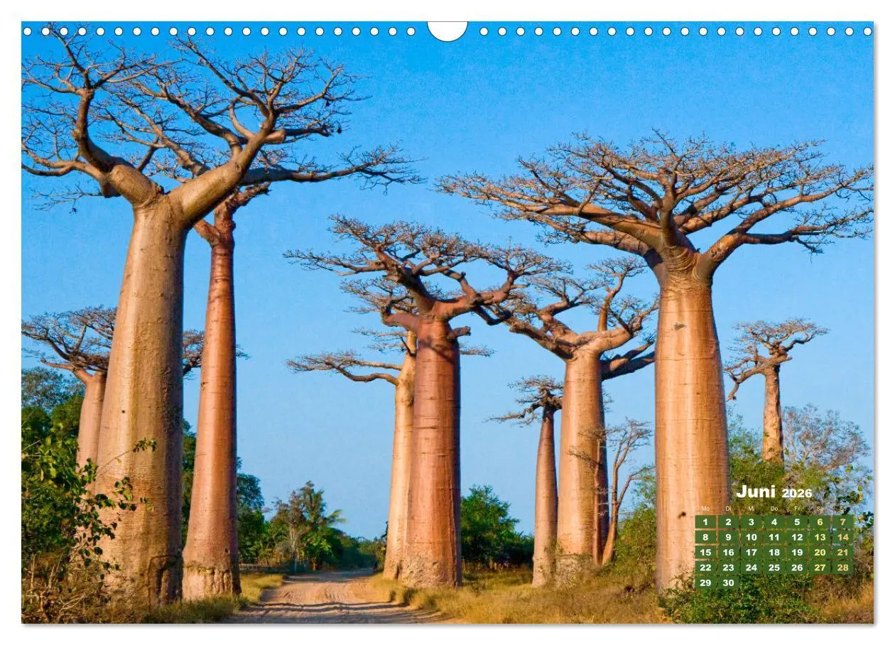 Bild: 9783457274064 | Alleen: Der Weg ist das Ziel (Wandkalender 2026 DIN A3 quer),...