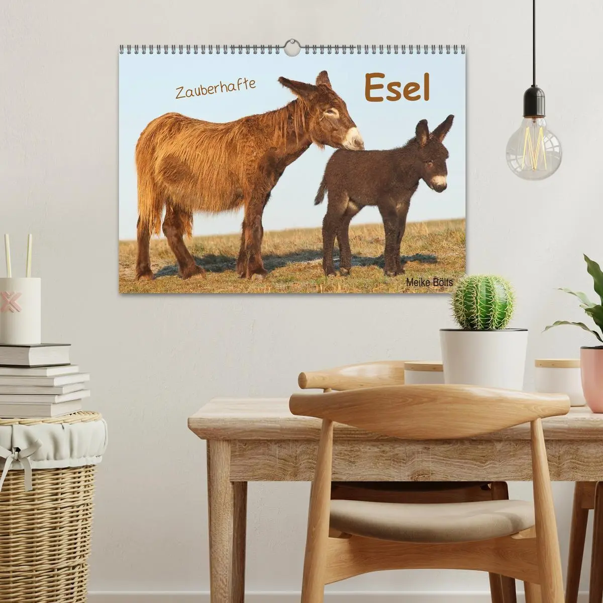 Bild: 9783516054064 | Zauberhafte Esel (Wandkalender 2026 DIN A3 quer), CALVENDO...