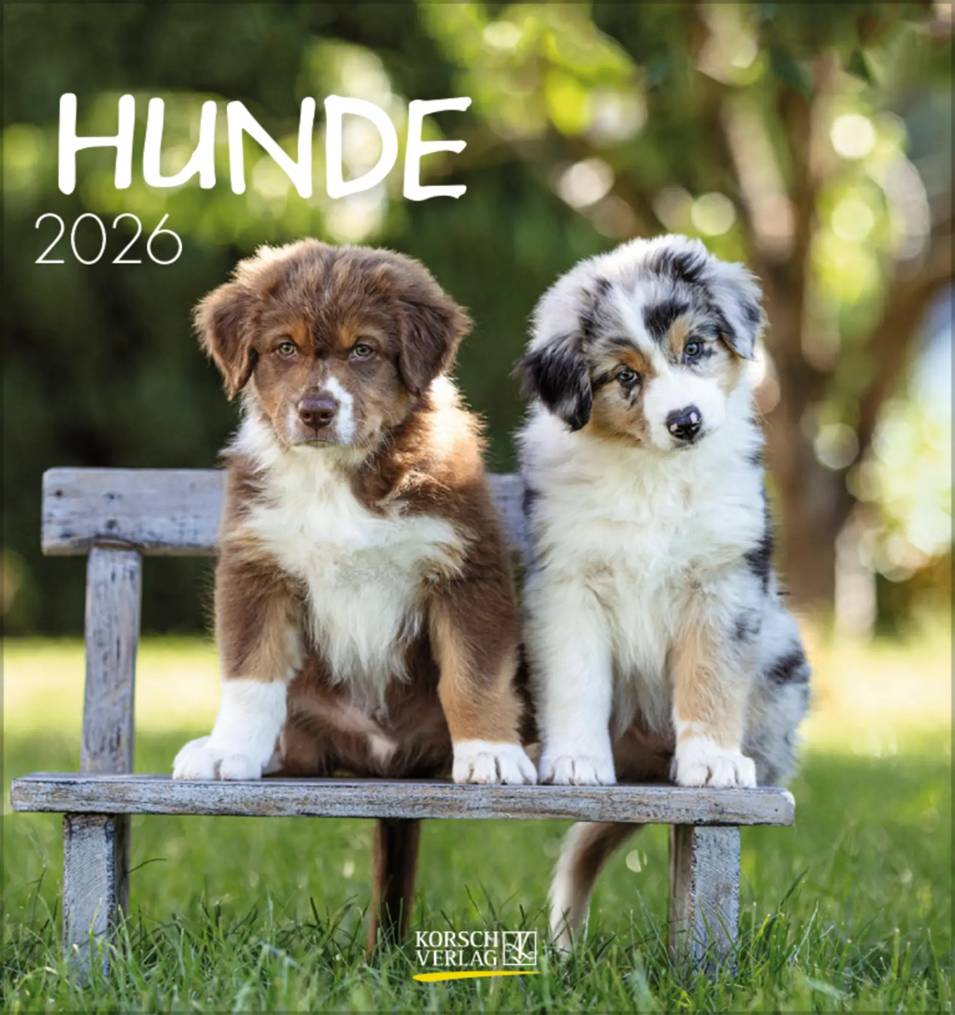 Cover: 9783731884064 | Hunde 2026 | aufstellbarer Postkartenkalender | Verlag Korsch | 13 S.