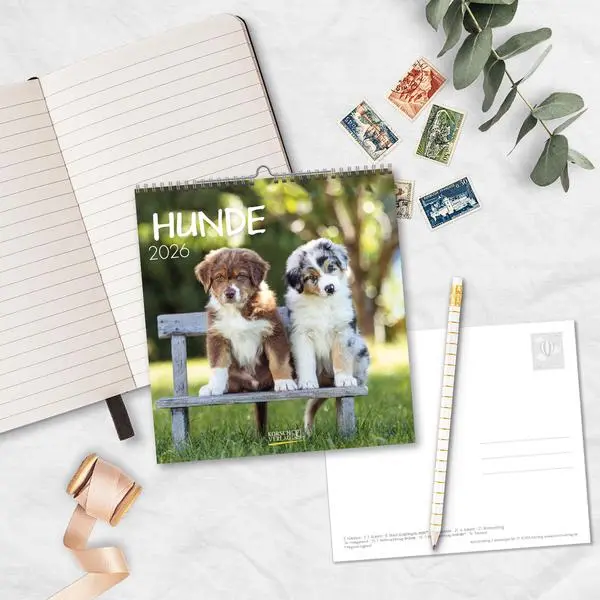 Bild: 9783731884064 | Hunde 2026 | aufstellbarer Postkartenkalender | Verlag Korsch | 13 S.