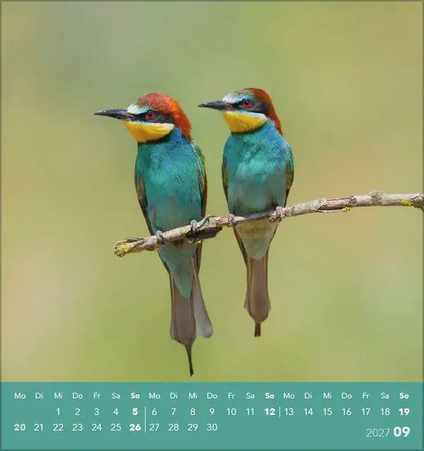 Bild: 9783819304064 | Vögel unserer Heimat 2027 | Verlag Korsch | Kalender | 13 S. | Deutsch