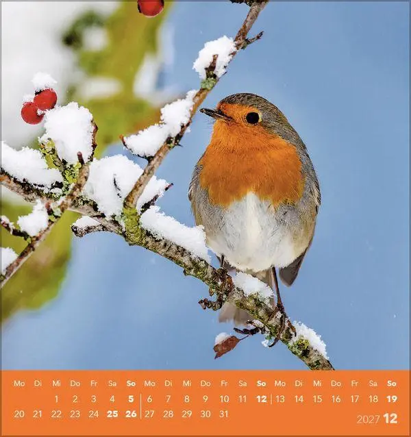 Bild: 9783819304064 | Vögel unserer Heimat 2027 | Verlag Korsch | Kalender | 13 S. | Deutsch