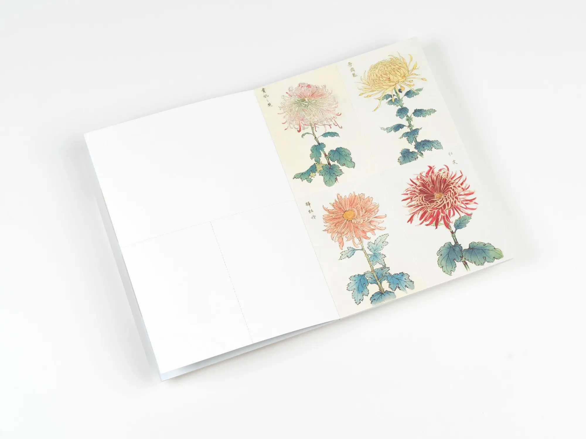 Bild: 9789460094064 | Japan | Creative Paper Book | Pepin Van Roojen | Taschenbuch | Deutsch