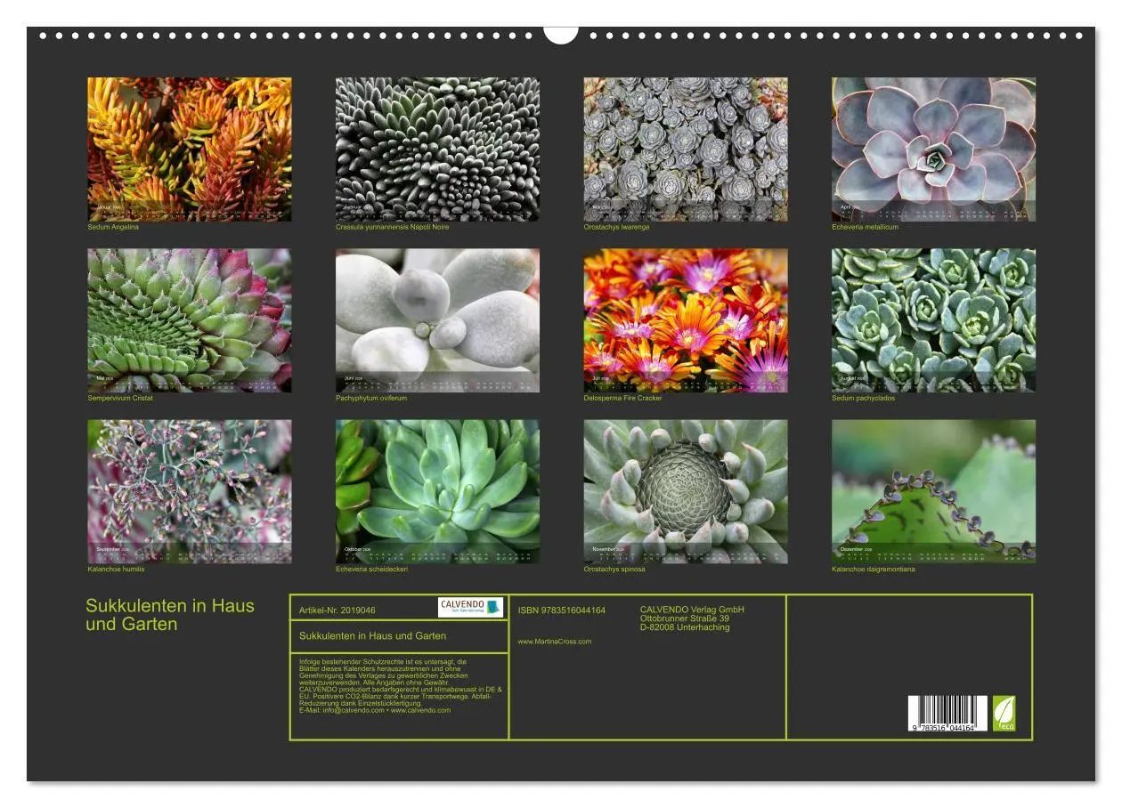 Bild: 9783516044164 | Sukkulenten in Haus und Garten (Wandkalender 2026 DIN A2 quer),...