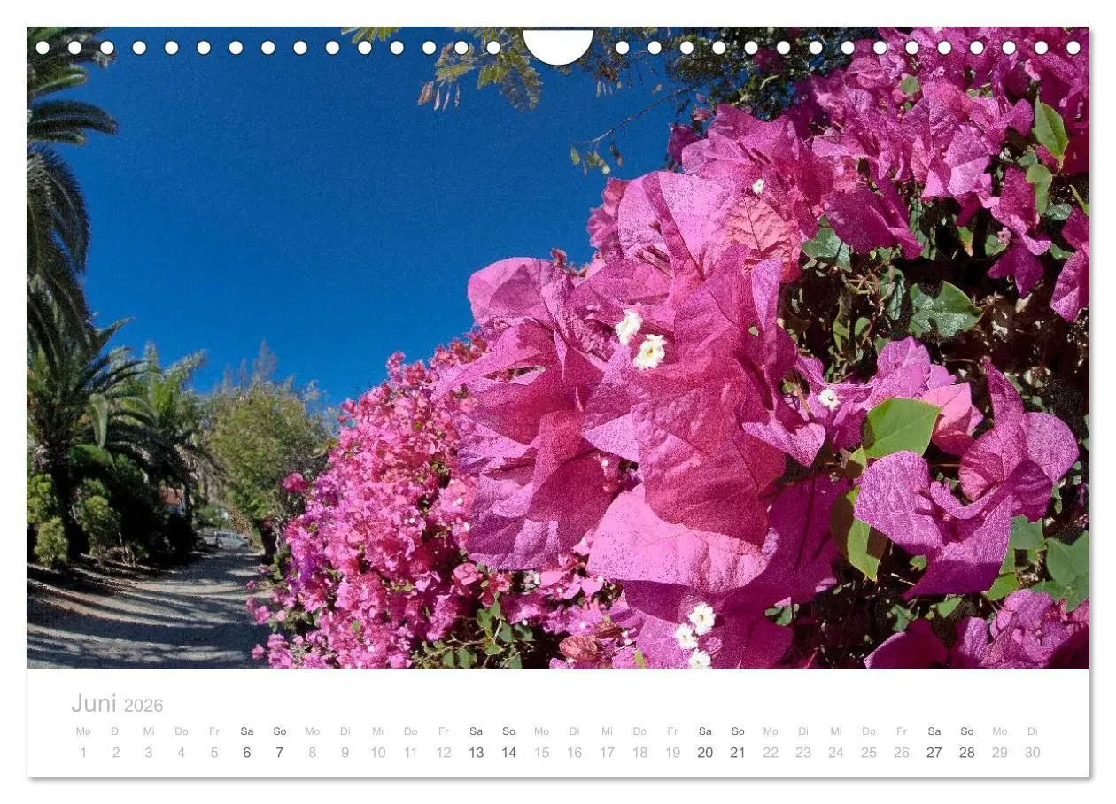 Bild: 9783516114164 | Sehnsucht nach Fuerteventura (Wandkalender 2026 DIN A4 quer),...
