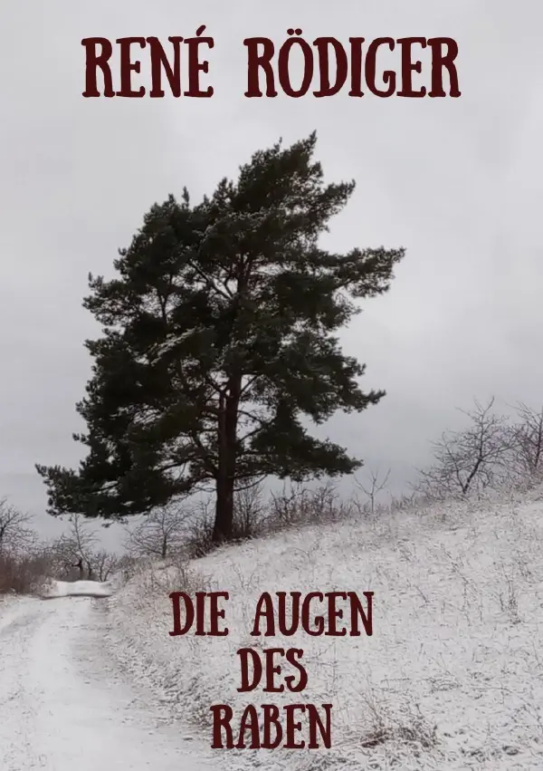 Cover: 9783565164264 | Die Augen des Raben | DE | René Rödiger | Taschenbuch | 204 S. | 2026