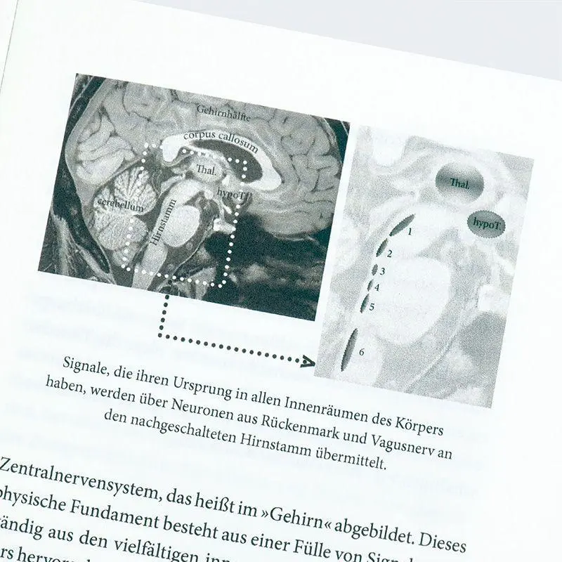 Bild: 9783446284364 | Natürliche Intelligenz und Bewusstsein in Zeiten von KI | Damasio