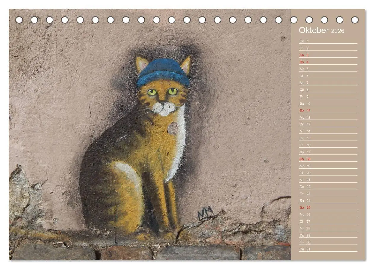 Bild: 9783457934364 | Flensburger Katzen (Tischkalender 2026 DIN A5 quer), CALVENDO...