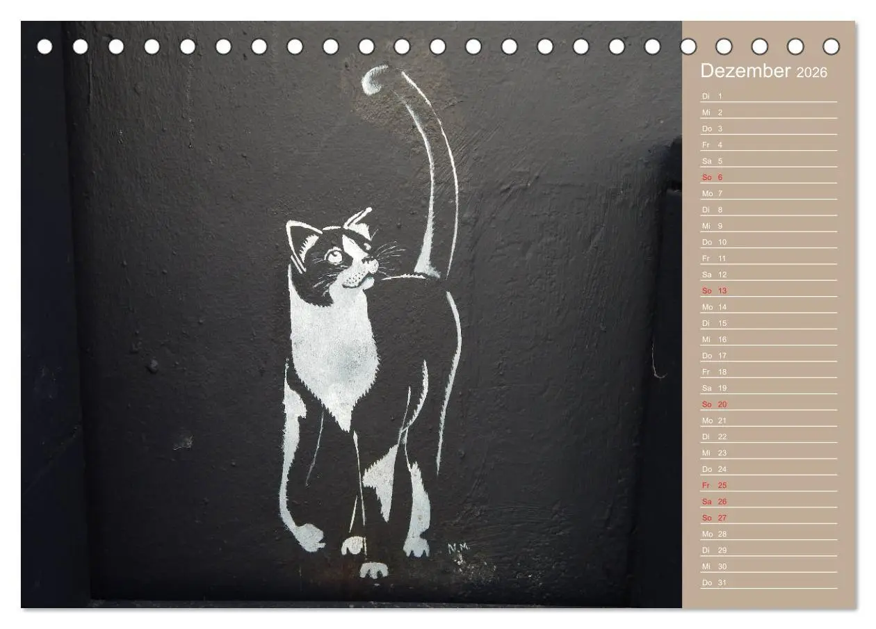 Bild: 9783457934364 | Flensburger Katzen (Tischkalender 2026 DIN A5 quer), CALVENDO...