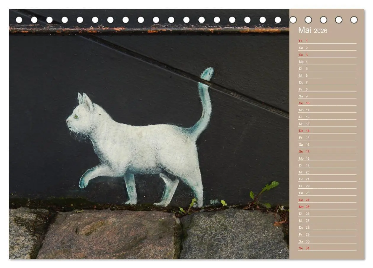 Bild: 9783457934364 | Flensburger Katzen (Tischkalender 2026 DIN A5 quer), CALVENDO...