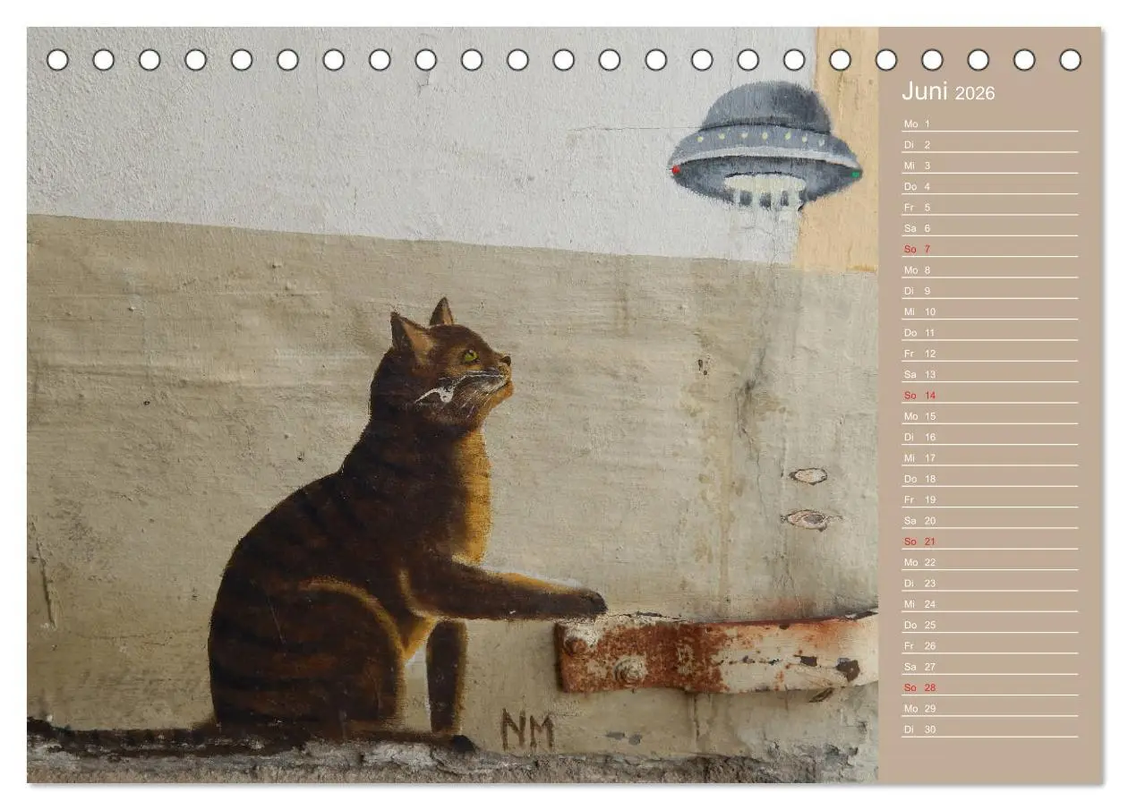 Bild: 9783457934364 | Flensburger Katzen (Tischkalender 2026 DIN A5 quer), CALVENDO...