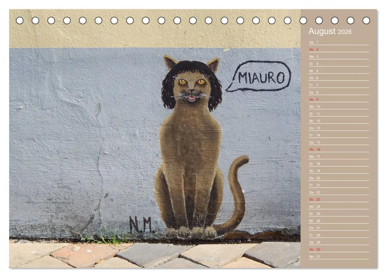 Bild: 9783457934364 | Flensburger Katzen (Tischkalender 2026 DIN A5 quer), CALVENDO...