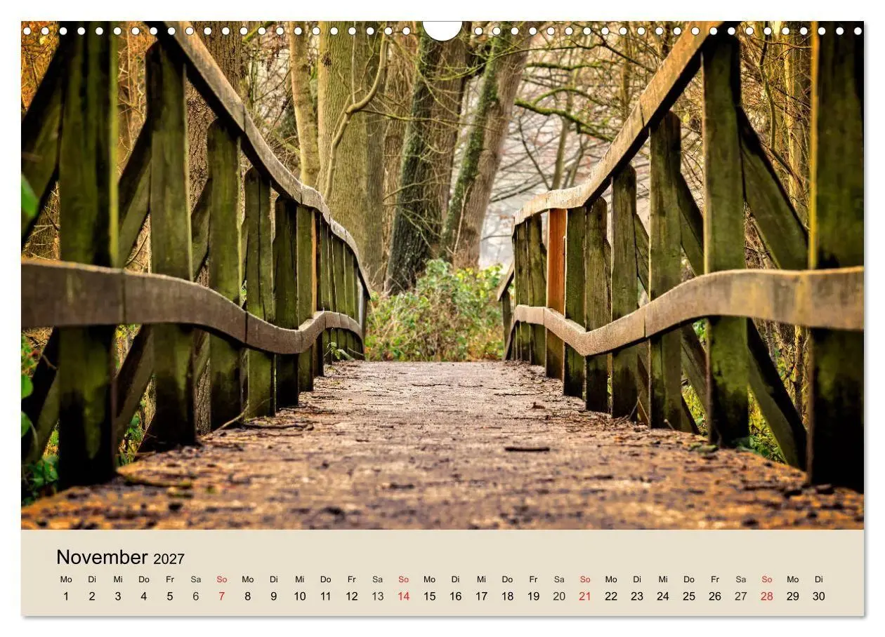 Bild: 9783569734364 | Der Wald. Durch zauberhafte Waldlandschaften (Wandkalender 2027 DIN...