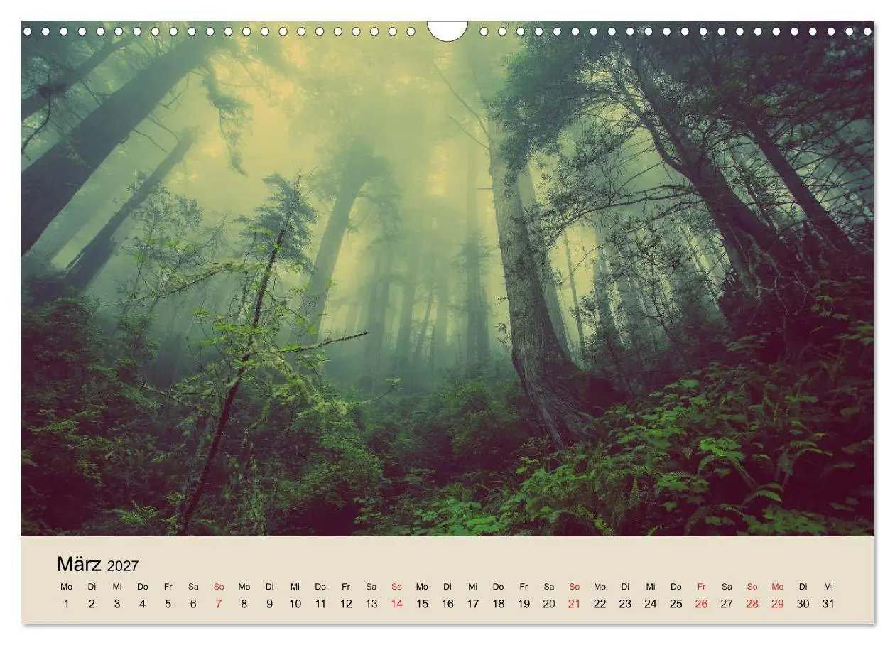 Bild: 9783569734364 | Der Wald. Durch zauberhafte Waldlandschaften (Wandkalender 2027 DIN...