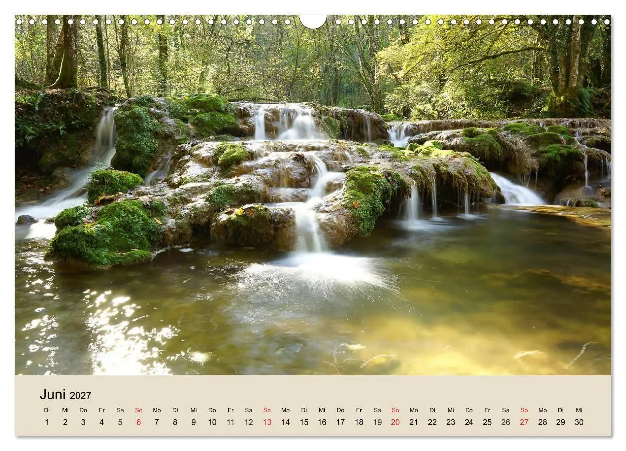 Bild: 9783569734364 | Der Wald. Durch zauberhafte Waldlandschaften (Wandkalender 2027 DIN...