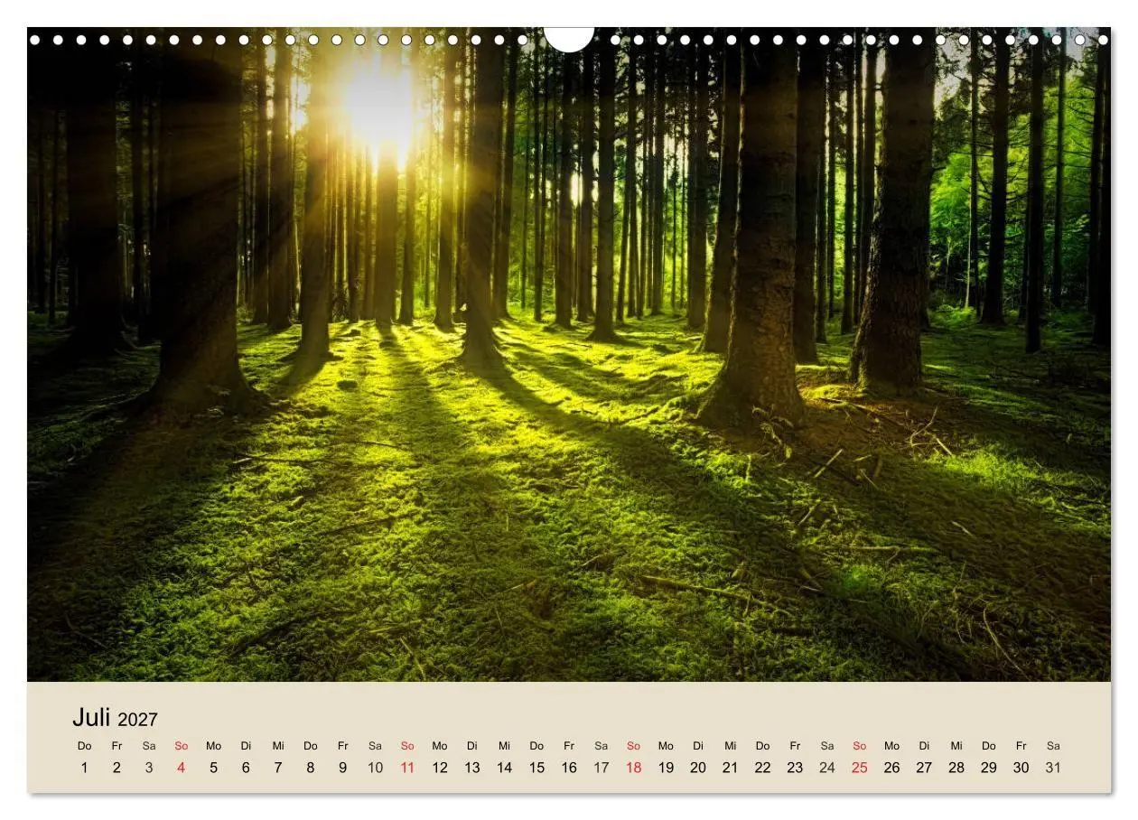 Bild: 9783569734364 | Der Wald. Durch zauberhafte Waldlandschaften (Wandkalender 2027 DIN...
