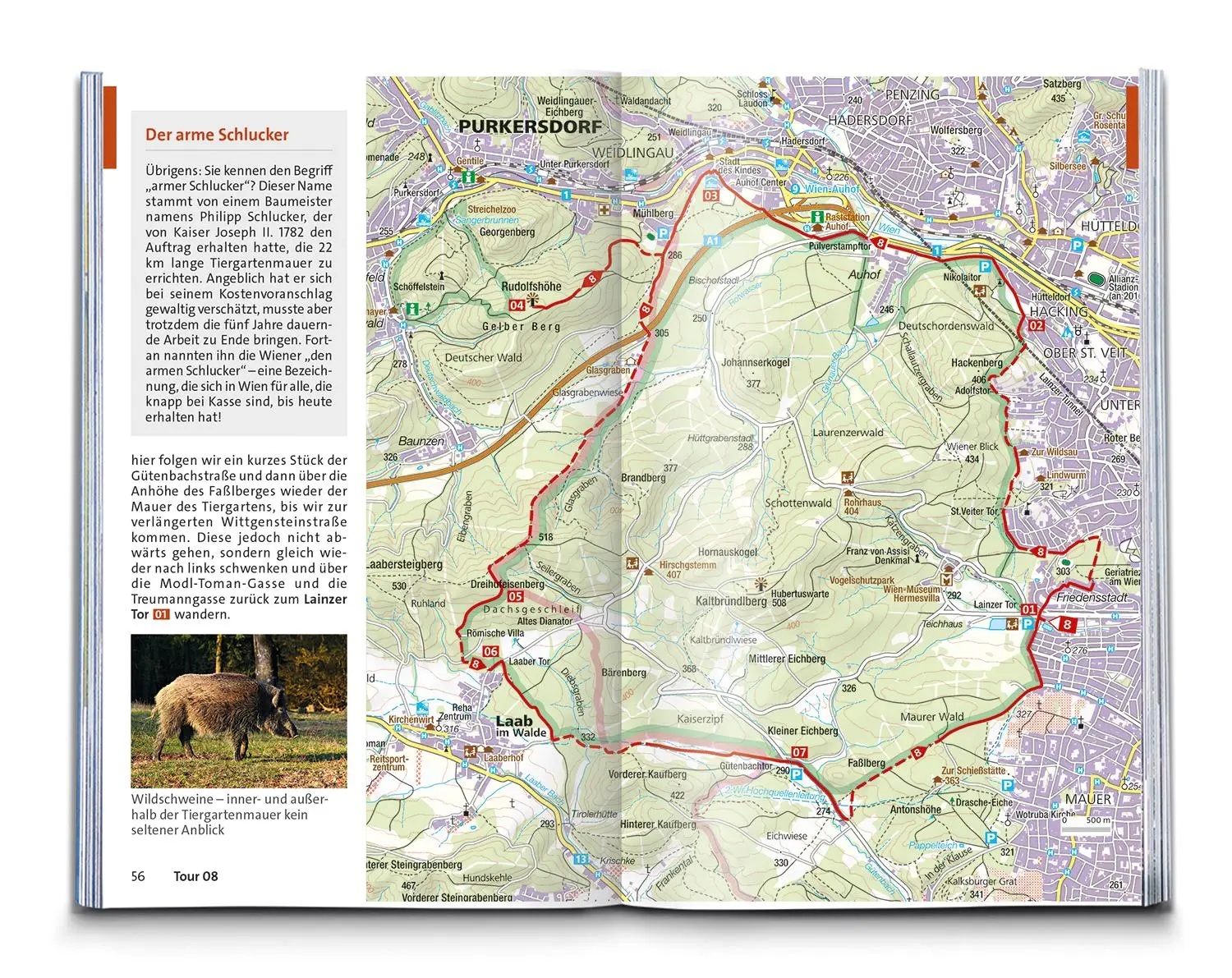 Bild: 9783991544364 | KOMPASS Wanderführer Wien mit Wienerwald, Wein- und Waldviertel, 60...