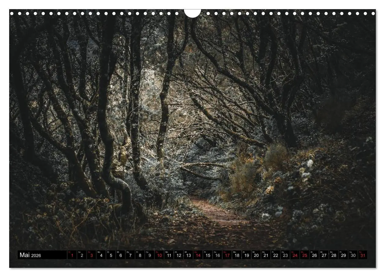 Bild: 9783516014464 | Madeira - Eine Perle des Atlantiks (Wandkalender 2026 DIN A3 quer),...