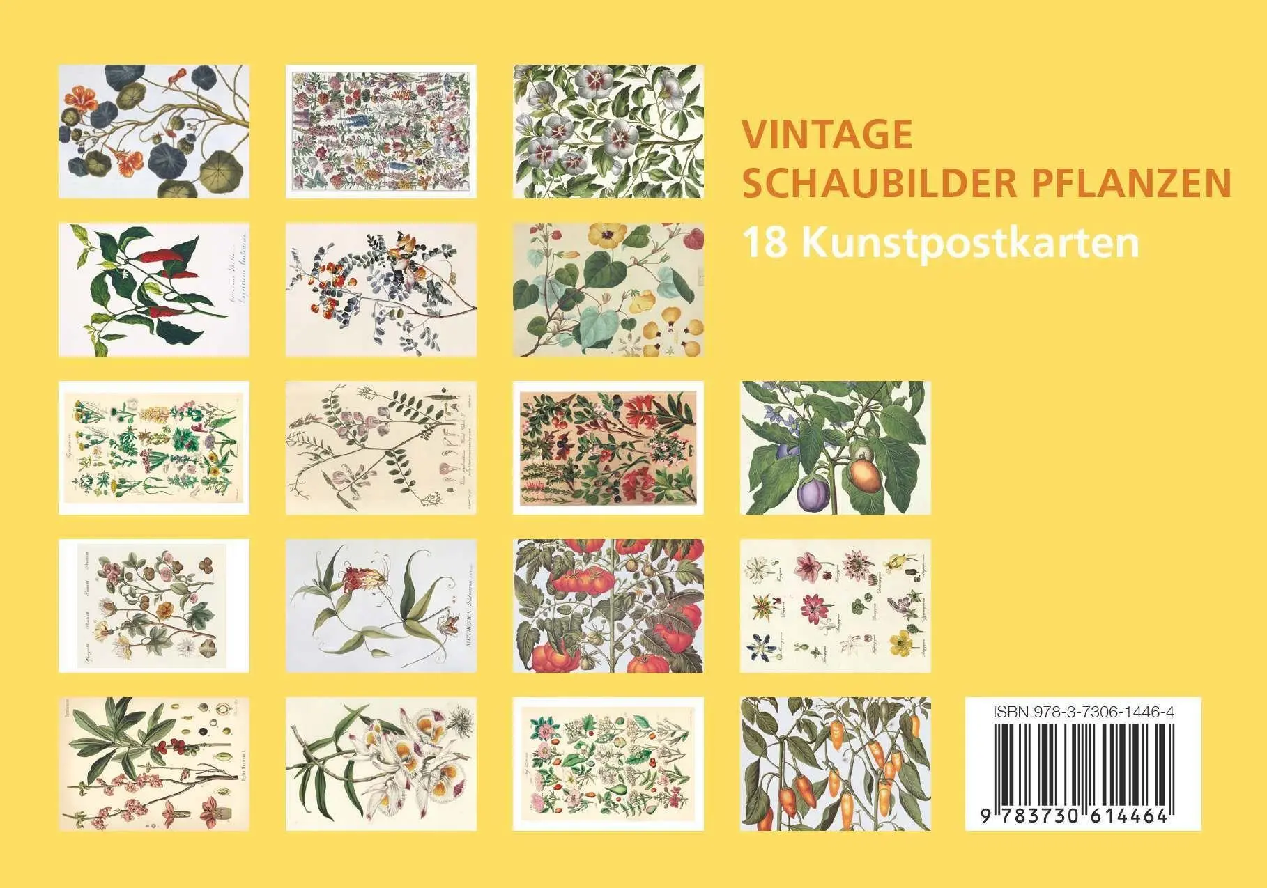 Bild: 9783730614464 | Postkarten-Set Vintage-Schaubilder Pflanzen | Anaconda Verlag | Buch