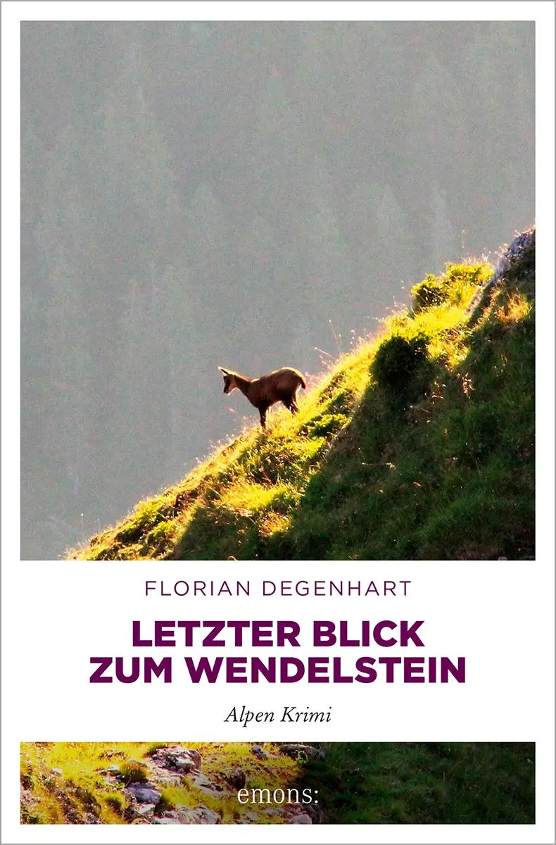 Cover: 9783740824464 | Letzter Blick zum Wendelstein | Alpen Krimi | Florian Degenhart | Buch
